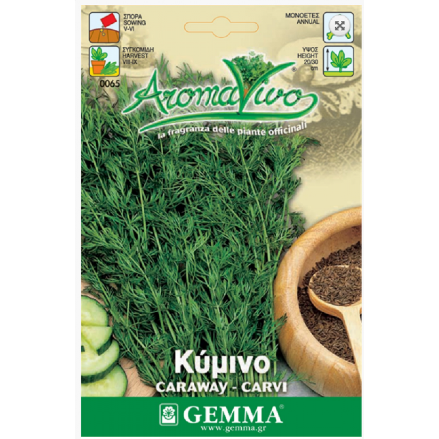 Caraway Seeds Packet 12664 (Carum carvi)