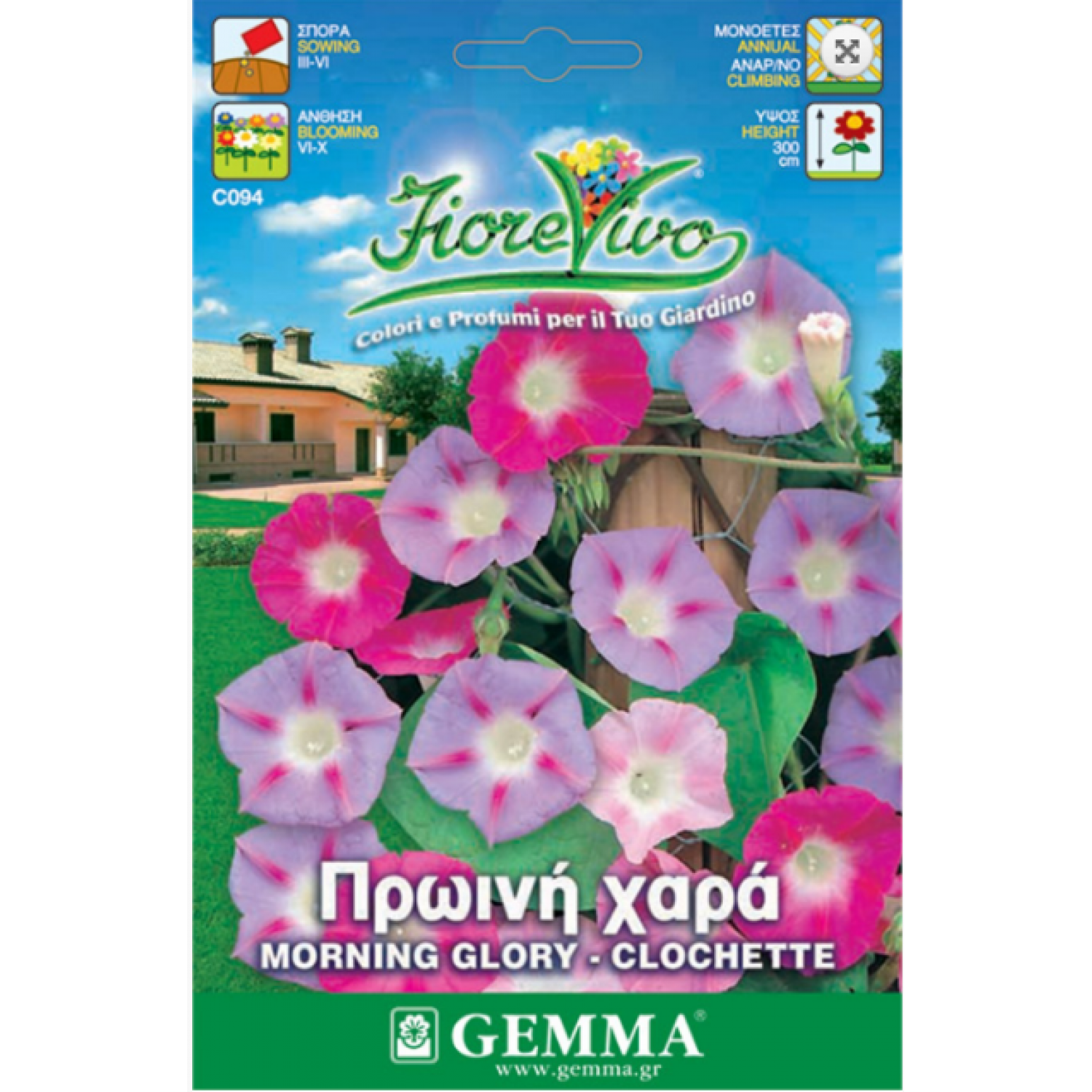 Ιπομέα ή Πρωινή Χαρά Μίγμα 2g Σπόροι (Ipomoea purpurea)