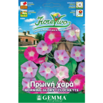 Ιπομέα ή Πρωινή Χαρά Μίγμα 2g Σπόροι (Ipomoea purpurea)