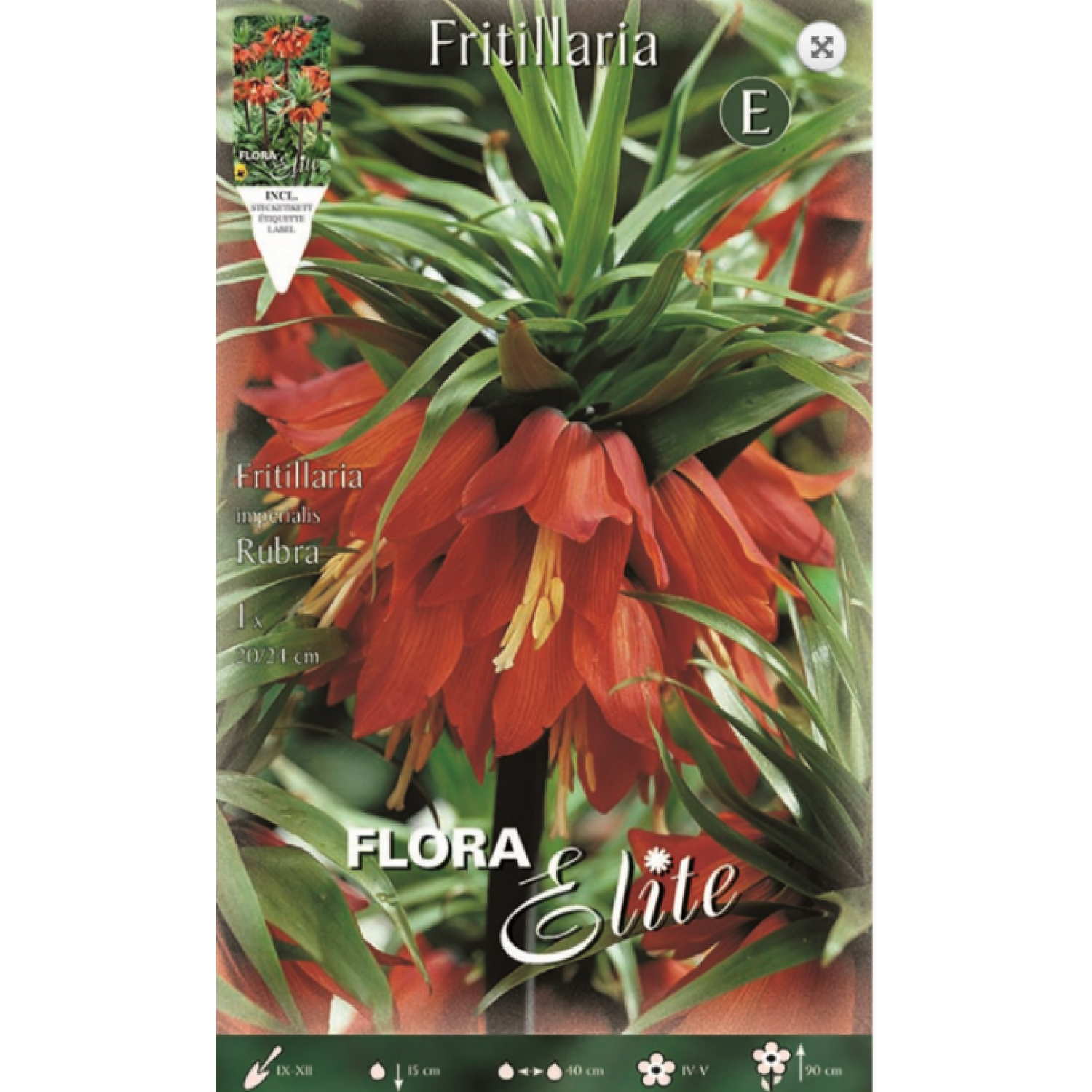 Fritilaria Rubra | kipogeorgiki.gr