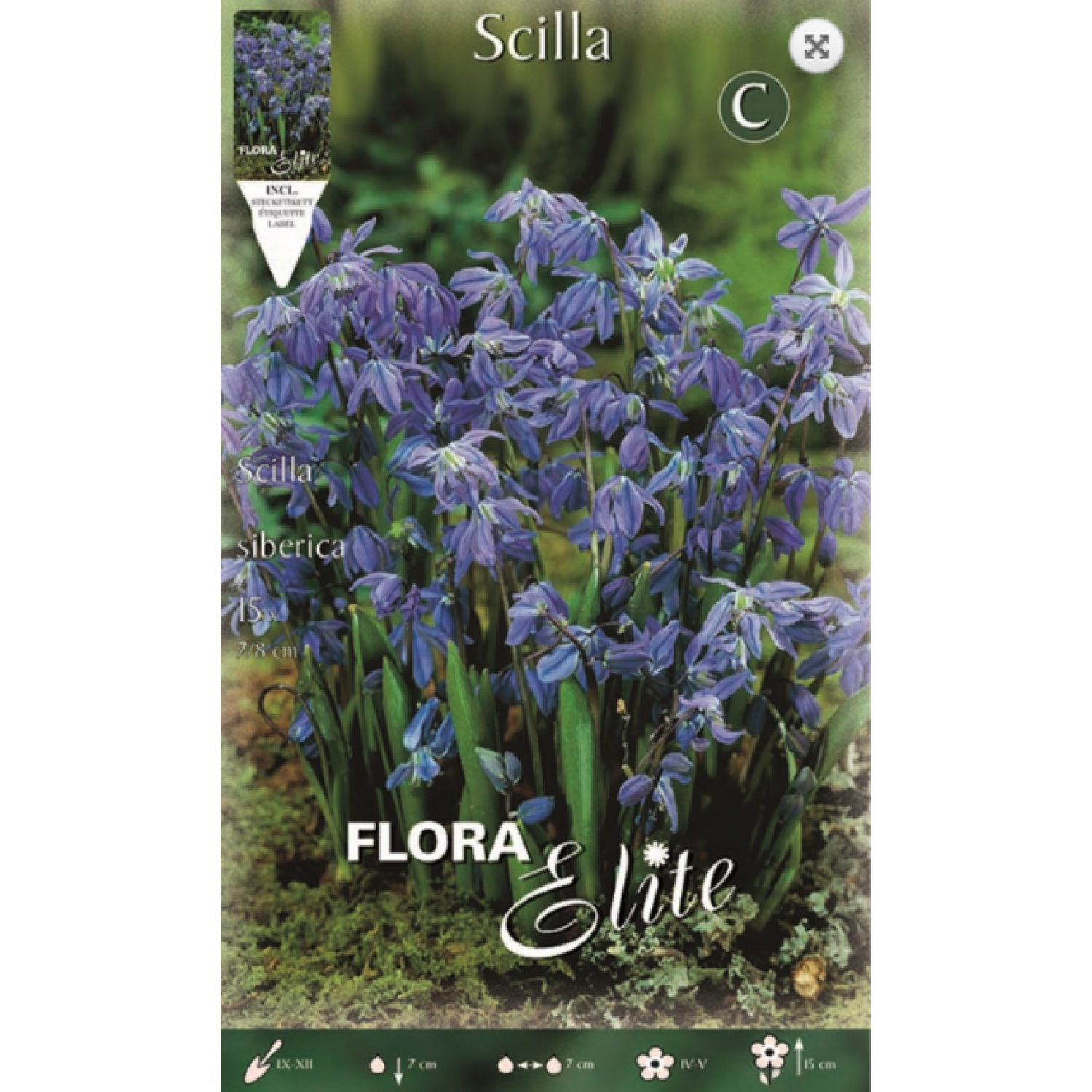 Scilla Siberica | kipogeorgiki.gr