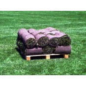 Lawns - Turfgrass Rolls