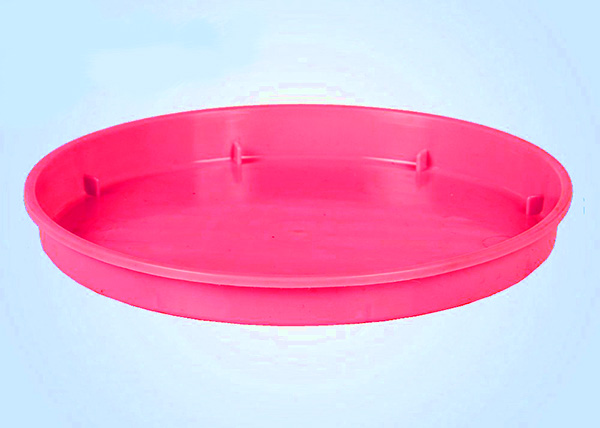 Saucer
