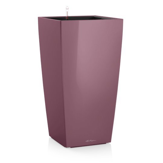 Δαμασκηνί (Plum Magic High-Gloss)