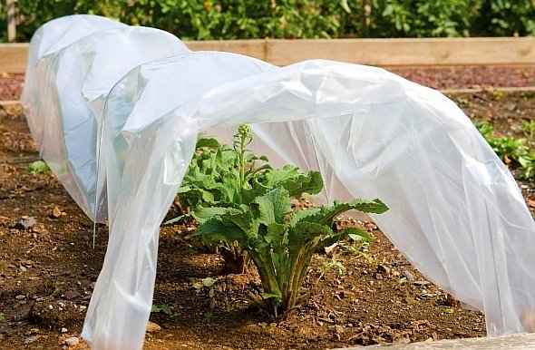 Προστασία των Φυτών από τον Παγετό-Kalypsi me antipagetiko yfasma