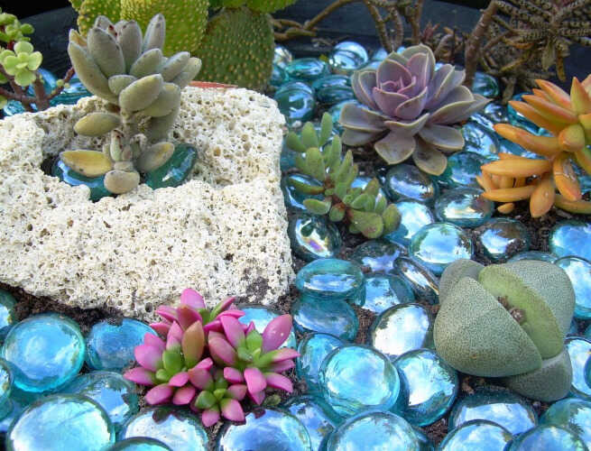 Γυάλινα Βότσαλα στον Κήπο με Κακτοειδή & Παχύφυτα