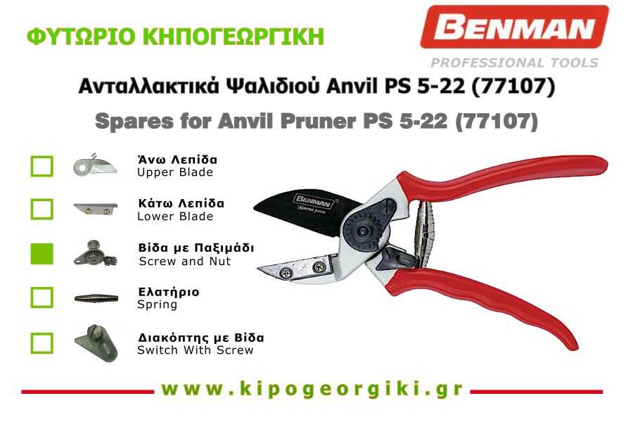 Σετ Ανταλλακτική Βίδα με Παξιμάδι για Κλαδευτήρι PS 5 22 Benman 77107