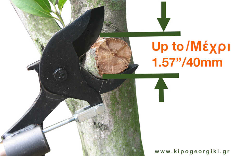 Futomaru N-154 1.5m Long Reach Pruning Shears