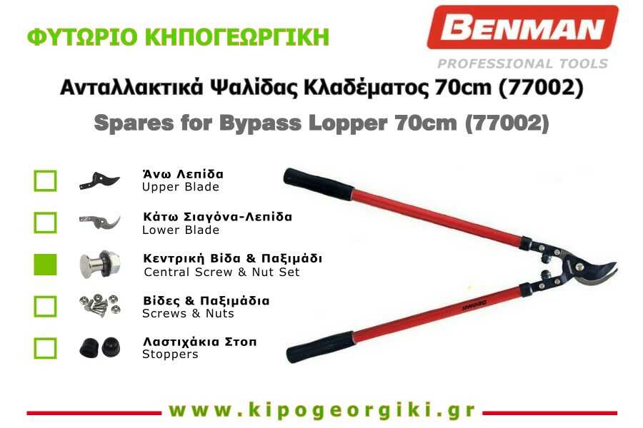 Σετ Ανταλλακτική Κεντρική Βίδα & Παξιμάδι Ψαλίδας Κλάδου 77002 Benman