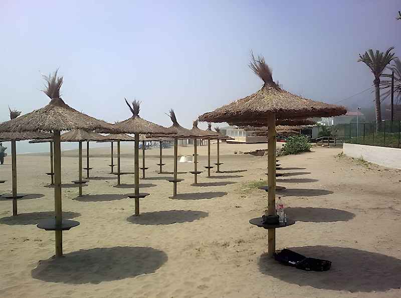 Beach Umbrella Natural Reiki Bush