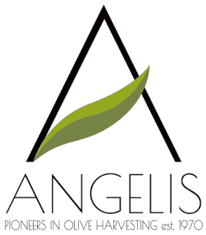 Angelis-Logo