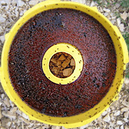 ANEL Insect Trap Full