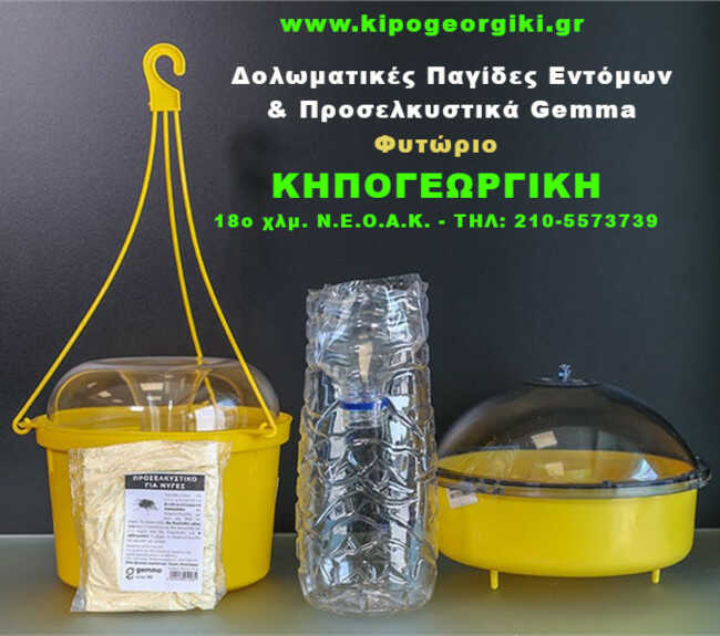 Fly Attractant 30g Bag Non-Toxic GEMMA