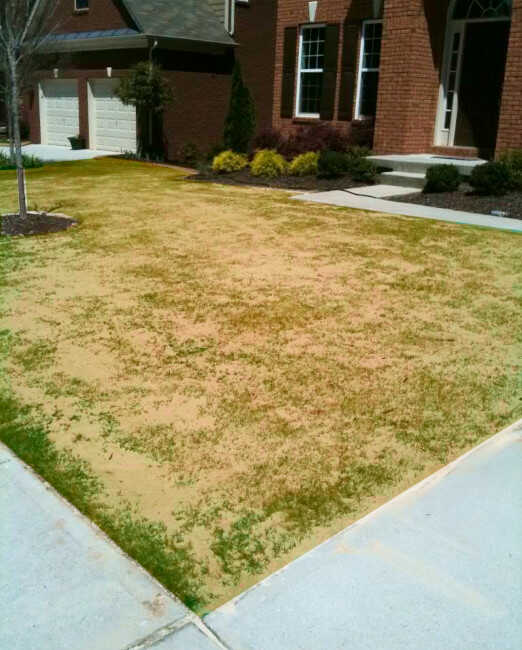 Ποταμίσια Άμμος σε Κήπο