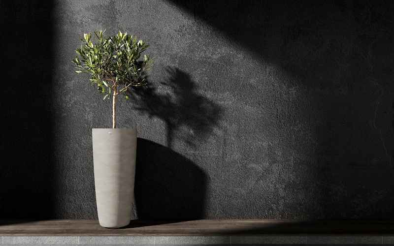 Planted Pot Lofto Cosapots