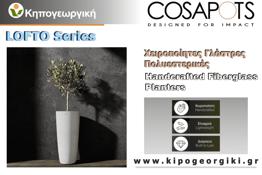 Lofto Cosapots