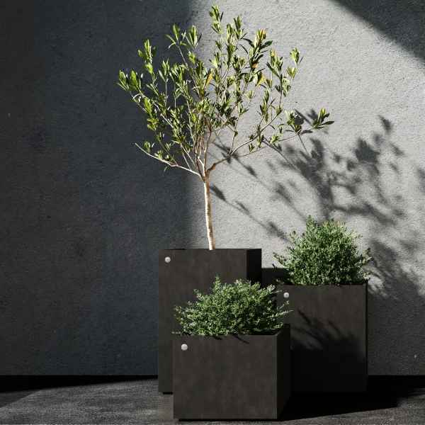 Reglito Brown Stone