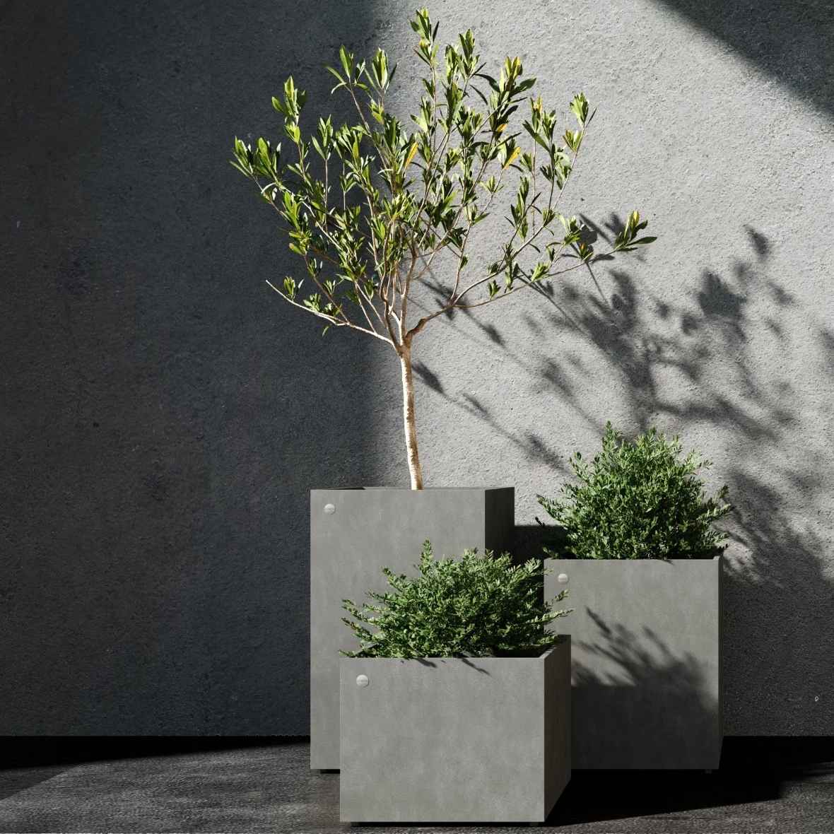 Reglito Grey Stone