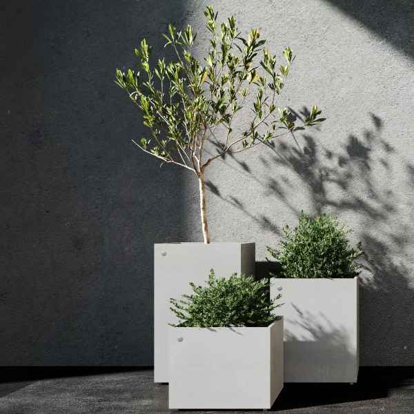 Reglito White Stone
