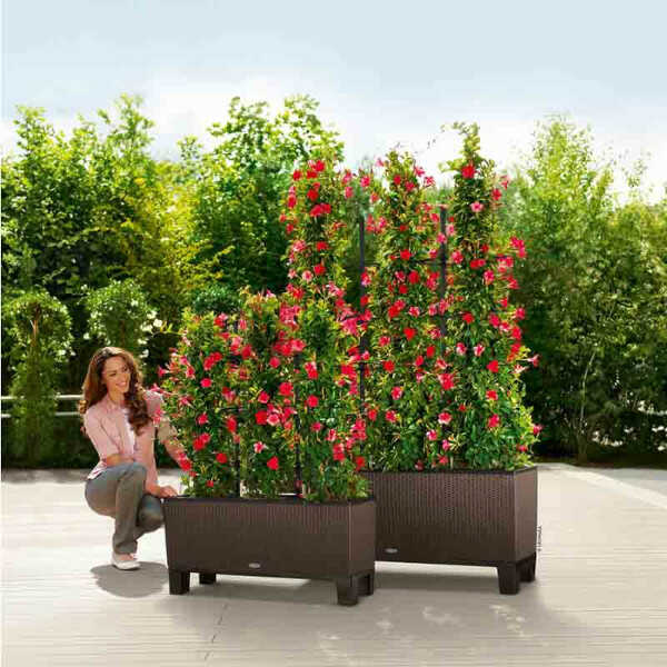 Pedestals for TRIO 30 Self-Watering Planters