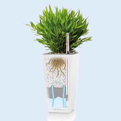 Representation of the Movement of Water