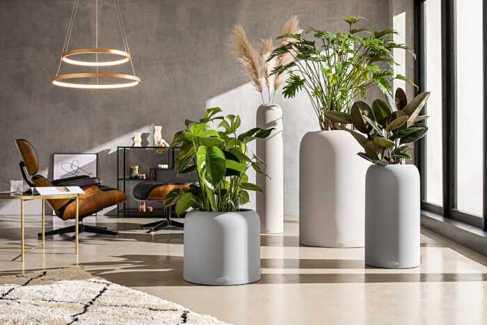 Βασικά Χαρακτηριστικά των Γλαστρών HAVALO με Φυτά