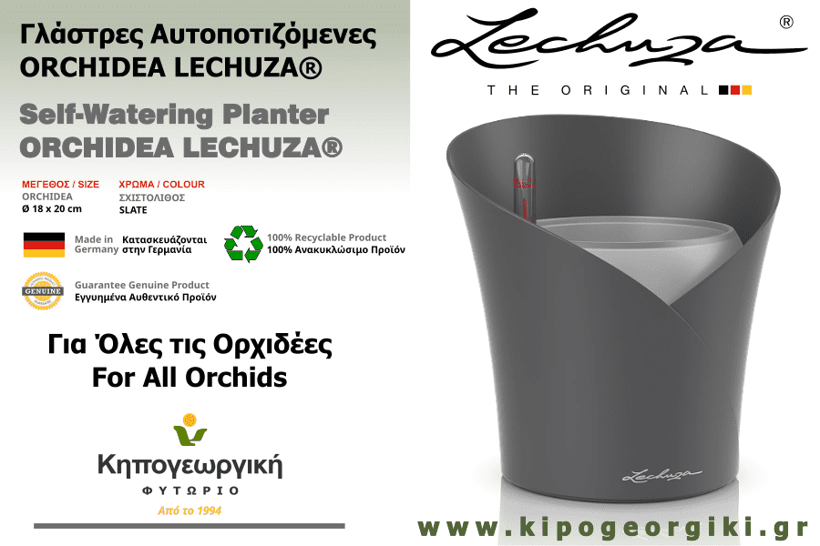 ORCHIDEA Σχιστόλιθος Φ18x20cm Γλάστρα Αυτοποτιζόμενη LECHUZA