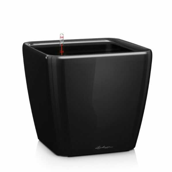 QUADRO-LS-21-Black-High-Gloss