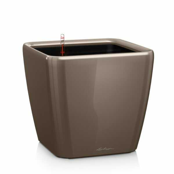 QUADRO-LS-21-Shiny-Taupe