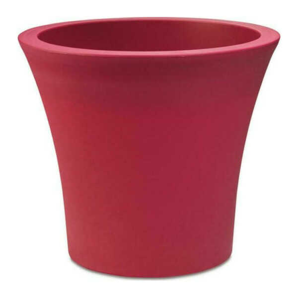 Ροζ Τριαντάφυλλου