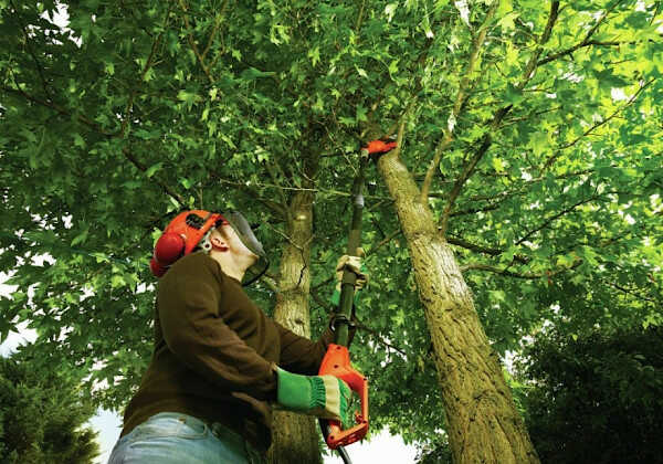 PS7525-QS Electric Pruner 800W Blade 25cm
