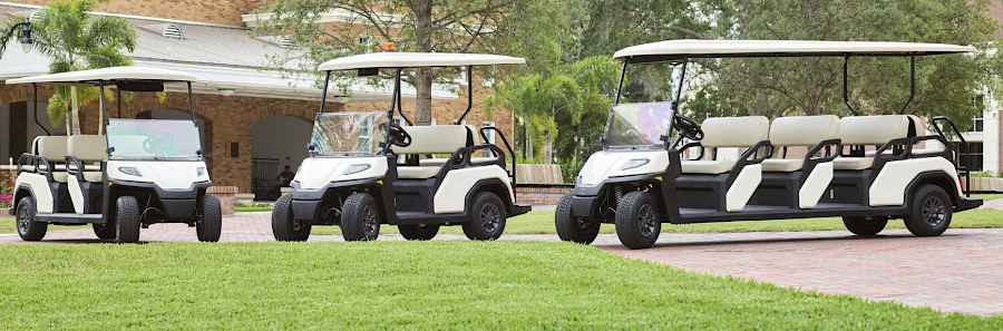 Ηλεκτρικό Αμαξίδιο Γκολφ  TORO Vista