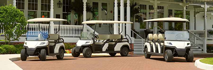 Αμαξίδιο Γκολφ 4 έως 8 Θέσεων TORO Vista