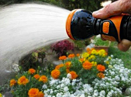 Adjustable Small Nozzle GF8000-5400 in the Garden