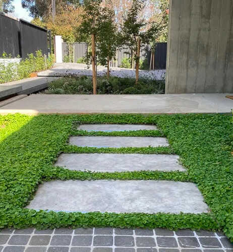 Golf Course with BIZEM