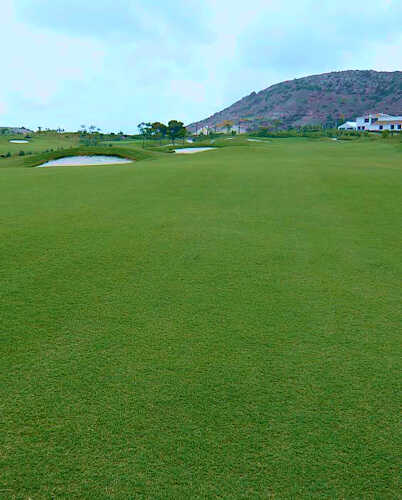 Έκταση με Χλοοτάπητα GOBI