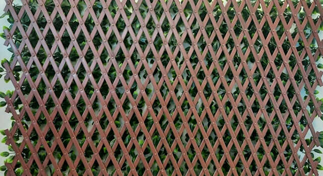 Δίχρωμη Φυλλωσιά 100(Υ)x200cm