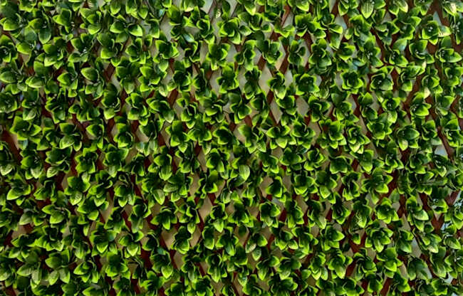 Συνθετική Δίχρωμη Φυλλωσιά 100(Υ)x200cm