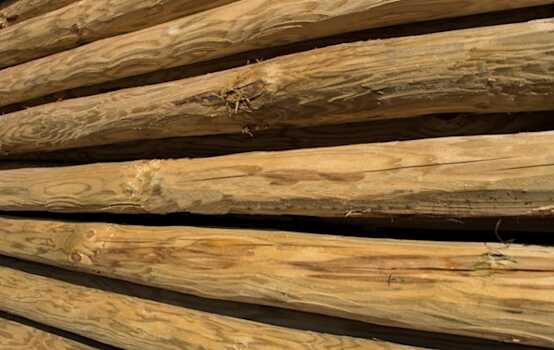 Raw Round Timber Pine Debarking Log