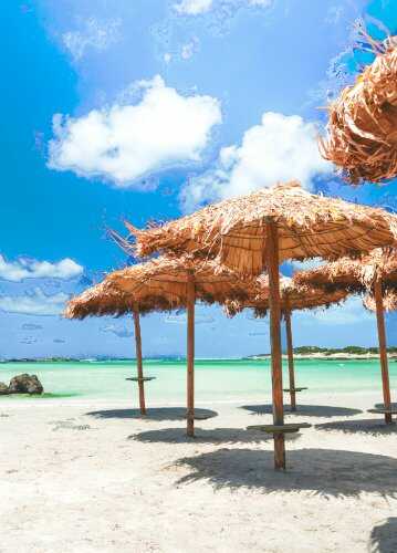 Wooden Round Palisade Ø8