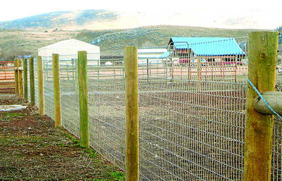 Ξύλινος Πάσσαλος Στρογγυλός Ø12