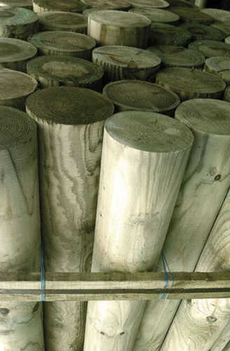 Wooden Round Palisade Ø16