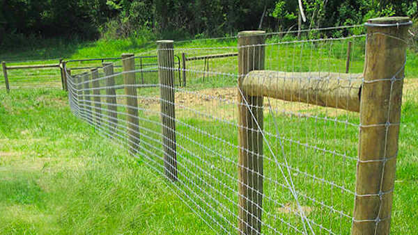 Ξύλινος Πάσσαλος Στρογγυλός Ø18